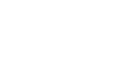 Cat in a Flat Blog