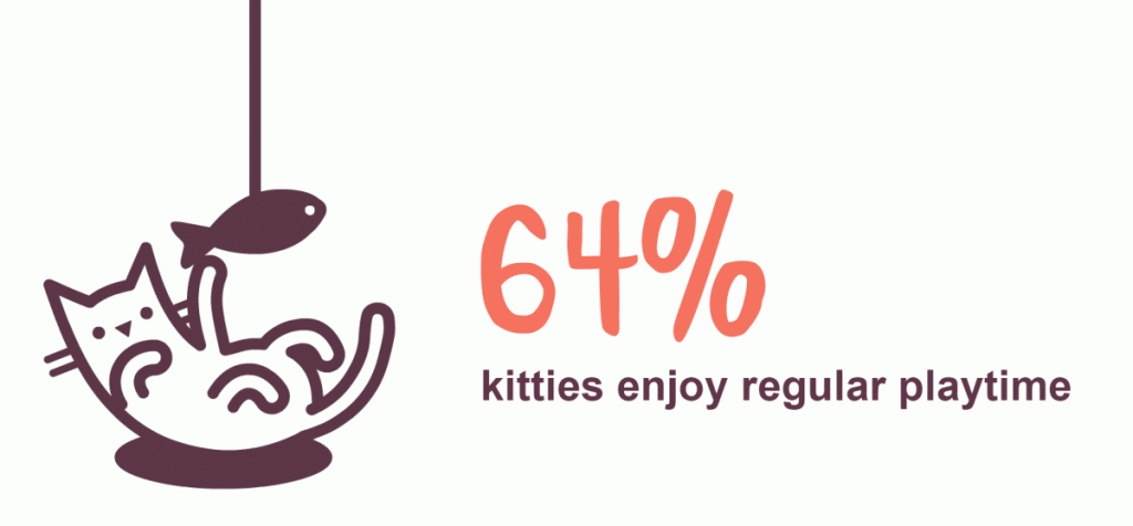 64% cats enjoy regular playtime
