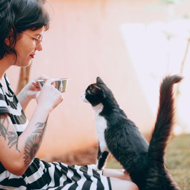 How to Choose the Best Cat Door and Train Your Cat to Use It