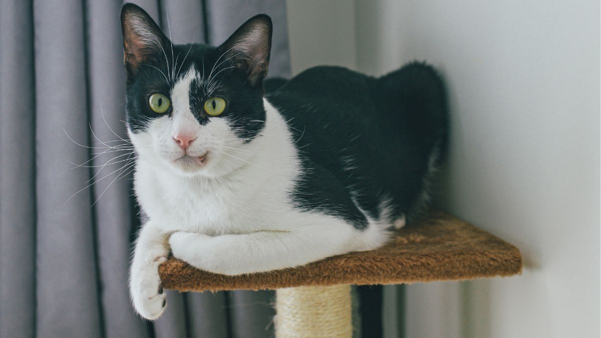 Thumbnail image for blog post: 